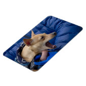 Magnet Flexible Chihuahua hurle (Côté Gauche)