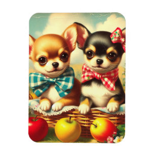 Magnet Flexible Chihuahua Puppies