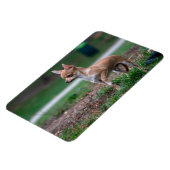 Magnet Flexible Chihuahua Puppy (Côté Gauche)