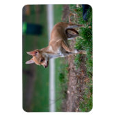Magnet Flexible Chihuahua Puppy (Vertical)