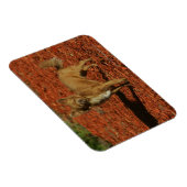 Magnet Flexible Chihuahua Regardant la caméra (Côté Droit)