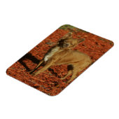 Magnet Flexible Chihuahua Regardant la caméra (Côté Gauche)