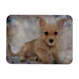 Magnet Flexible Chihuahua/Yorkie Puppy