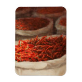 Magnet Flexible Chillis 2010 (Vertical)