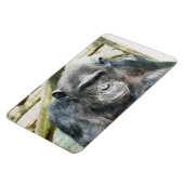 MAGNET FLEXIBLE CHIMPANZEE (Côté Gauche)