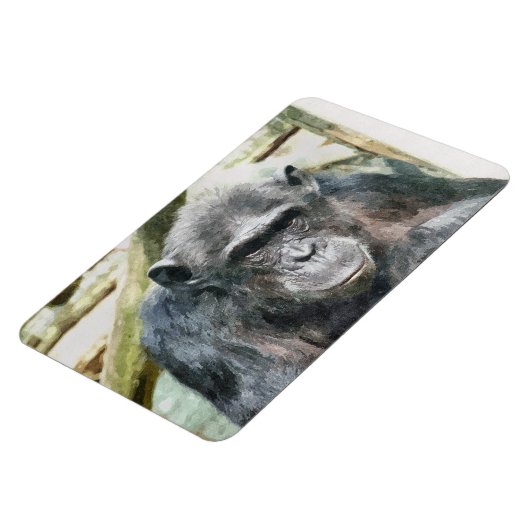 MAGNET FLEXIBLE CHIMPANZEE (Côté Gauche)