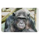 MAGNET FLEXIBLE CHIMPANZEE (Horizontal)