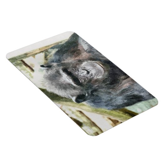 MAGNET FLEXIBLE CHIMPANZEE (Côté Droit)