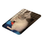 Magnet Flexible chinchilla (Côté Gauche)