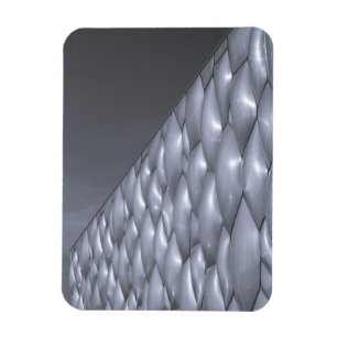 Magnet Flexible Chine, Pékin. Centre National Aquatique