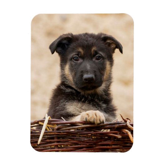 Magnet Flexible Chiot Allemand En Panier (Vertical)