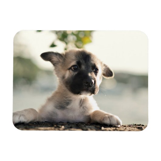 Magnet Flexible Chiot allemand sur la haie (Horizontal)