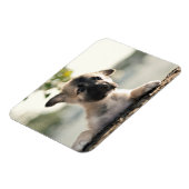 Magnet Flexible Chiot allemand sur la haie (Côté Gauche)