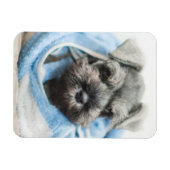 Magnet Flexible Chiot après bain (Horizontal)
