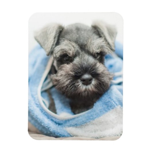 Magnet Flexible Chiot après bain (Vertical)
