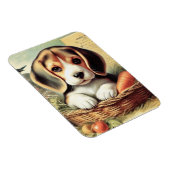 Magnet Flexible Chiot Beagle vintage (Côté Droit)