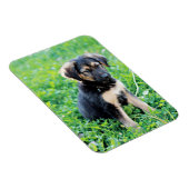 Magnet Flexible Chiot berger allemand (Côté Droit)