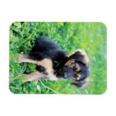 Magnet Flexible Chiot berger allemand (Horizontal)