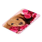 Magnet Flexible Chiot de Dachshund Entouré de Roses (Côté Gauche)