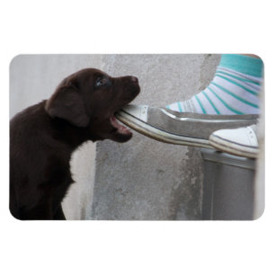 Magnet Flexible Chiot de Labrador Brown