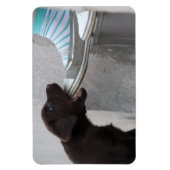 Magnet Flexible Chiot de Labrador Brown (Vertical)