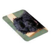 Magnet Flexible Chiot de Poméranie Noire (Côté Droit)