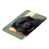Magnet Flexible Chiot de Poméranie Noire (Côté Gauche)