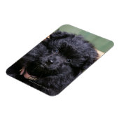 Magnet Flexible Chiot de Poméranie Noire (Côté Gauche)