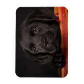 Magnet Flexible Chiot de récupération du labrador noir dans un pan (Vertical)