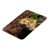 Magnet Flexible Chiot de rétracteur d'or (Côté Gauche)