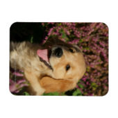 Magnet Flexible Chiot de rétracteur d'or (Horizontal)