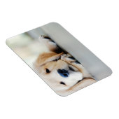 Magnet Flexible Chiot doré rétrificateur doré (Côté Droit)