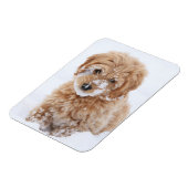 Magnet Flexible Chiot Goldendoodé Avec Neige Sur La Face (Côté Gauche)