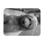 Magnet Flexible Chiot Goldendoodle en Jardin (Horizontal)