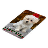 Magnet Flexible Chiot maltais à Noël (Côté Gauche)
