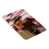 Magnet Flexible Chiot miniature à poil lisse (Côté Droit)