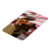 Magnet Flexible Chiot miniature à poil lisse (Côté Gauche)