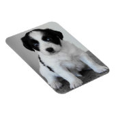 Magnet Flexible Chiot noir et blanc adorable (Côté Droit)