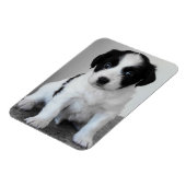 Magnet Flexible Chiot noir et blanc adorable (Côté Gauche)