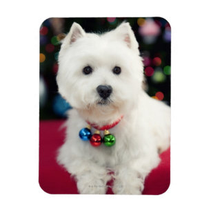 Magnet Flexible Chiot portant la cloche de Noël sur le cou