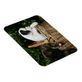 Magnet Flexible Chiots de boîte dans le panier (Côté Droit)