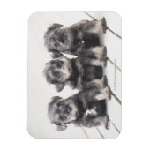Magnet Flexible Chiots de Schnauzer miniatures (Vertical)