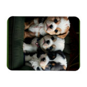 Magnet Flexible Chiots super mignons sur le canapé 2 (Horizontal)