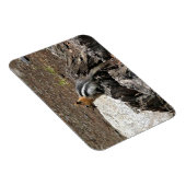 Magnet Flexible Chipmunk à Yosemite, Californie (Côté Droit)