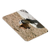 Magnet Flexible Chipmunk à Yosemite, Californie (Côté Droit)