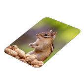 Magnet Flexible Chipmunk aux cacahuètes (Côté Gauche)