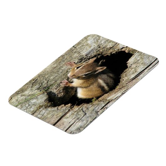 Magnet Flexible Chipmunk regarde dehors (Côté Gauche)