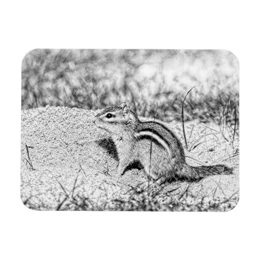 Magnet Flexible Chipmunk Sketch (Horizontal)