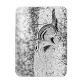 Magnet Flexible Chipmunk Sketch (Vertical)