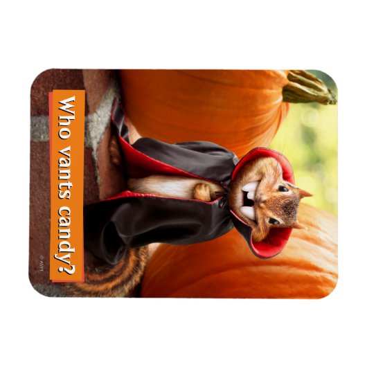 Magnet Flexible Chipmunk Vampire (Horizontal)